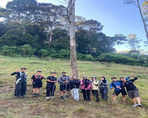 Group of cheerful friends hiking and enjoying active lifestyle outdoors